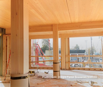 Carbon 12 - Mass Timber Connections (mtc) Solutions