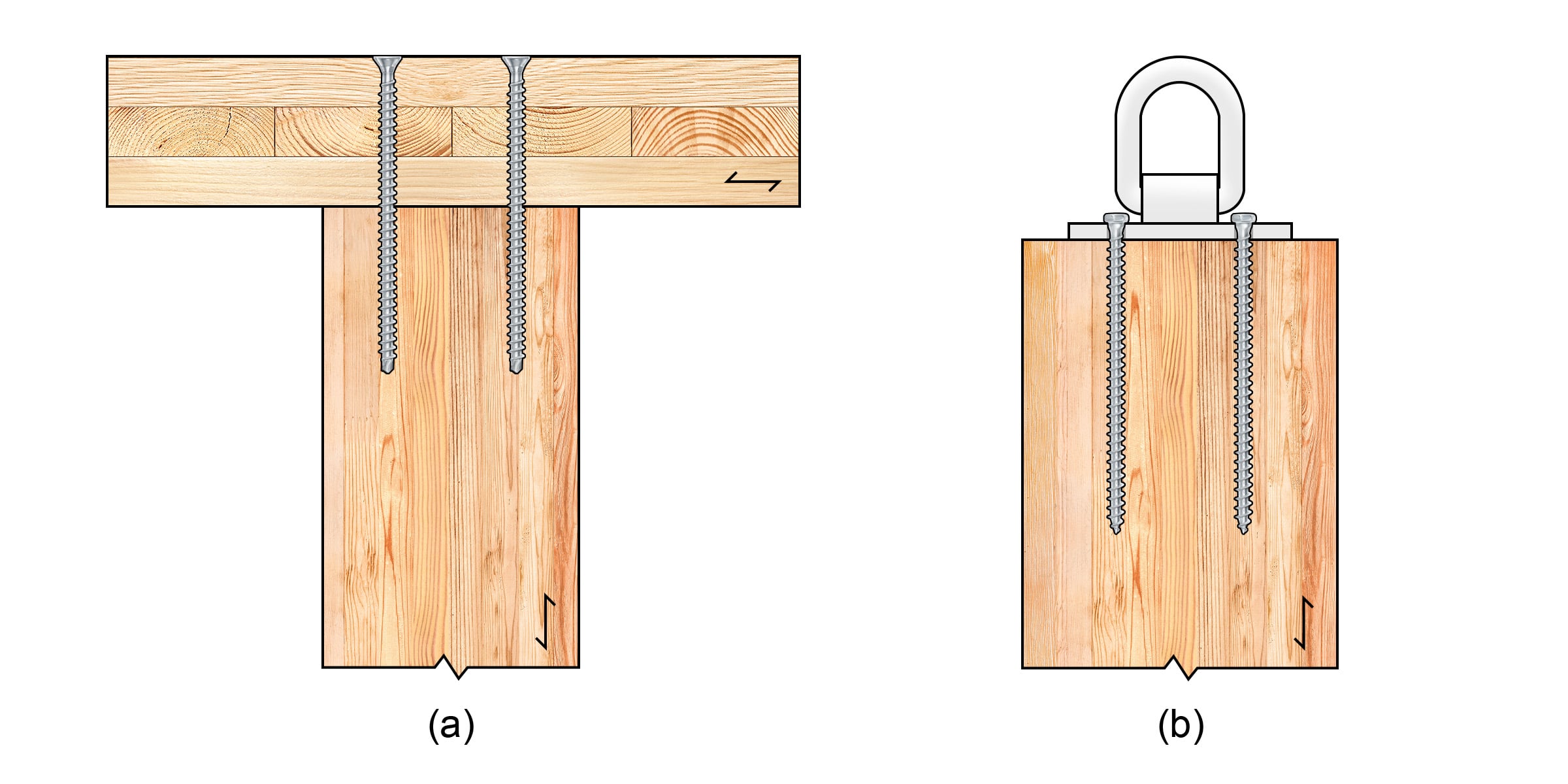 MTC end grain fastener applications